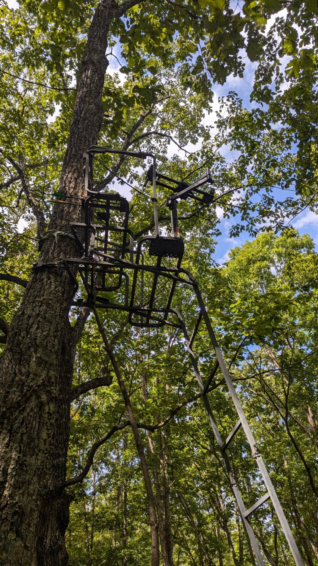 BOG Pod Shooting Rest with Dual Frame, Universal Rest, Adjustable, For Hunting, Shooting, and Outdoors customer photo 2