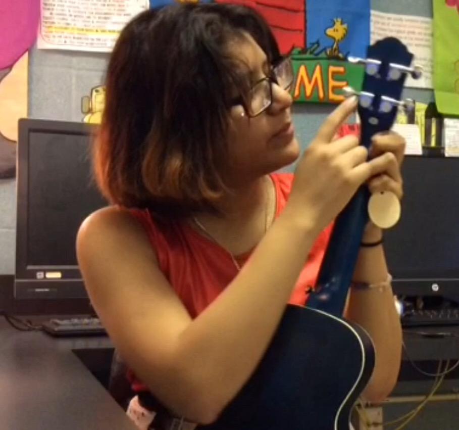 Tenor Ukulele Ranch 26 inch Professional Wooden ukelele Instrument with Online 12 Lessons and Gig Bag - Small Hawaiian Guitar - Starry Blue customer photo 1