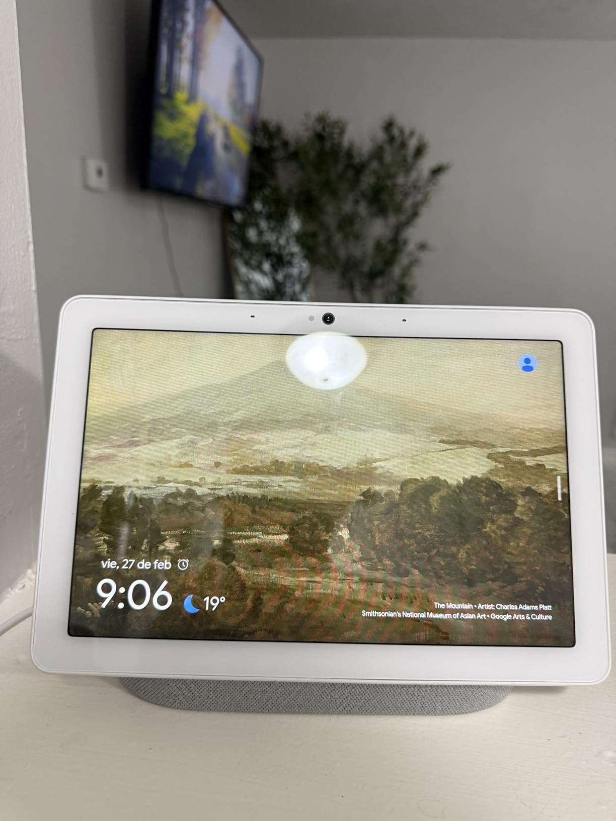 Google Nest Hub Max 10
