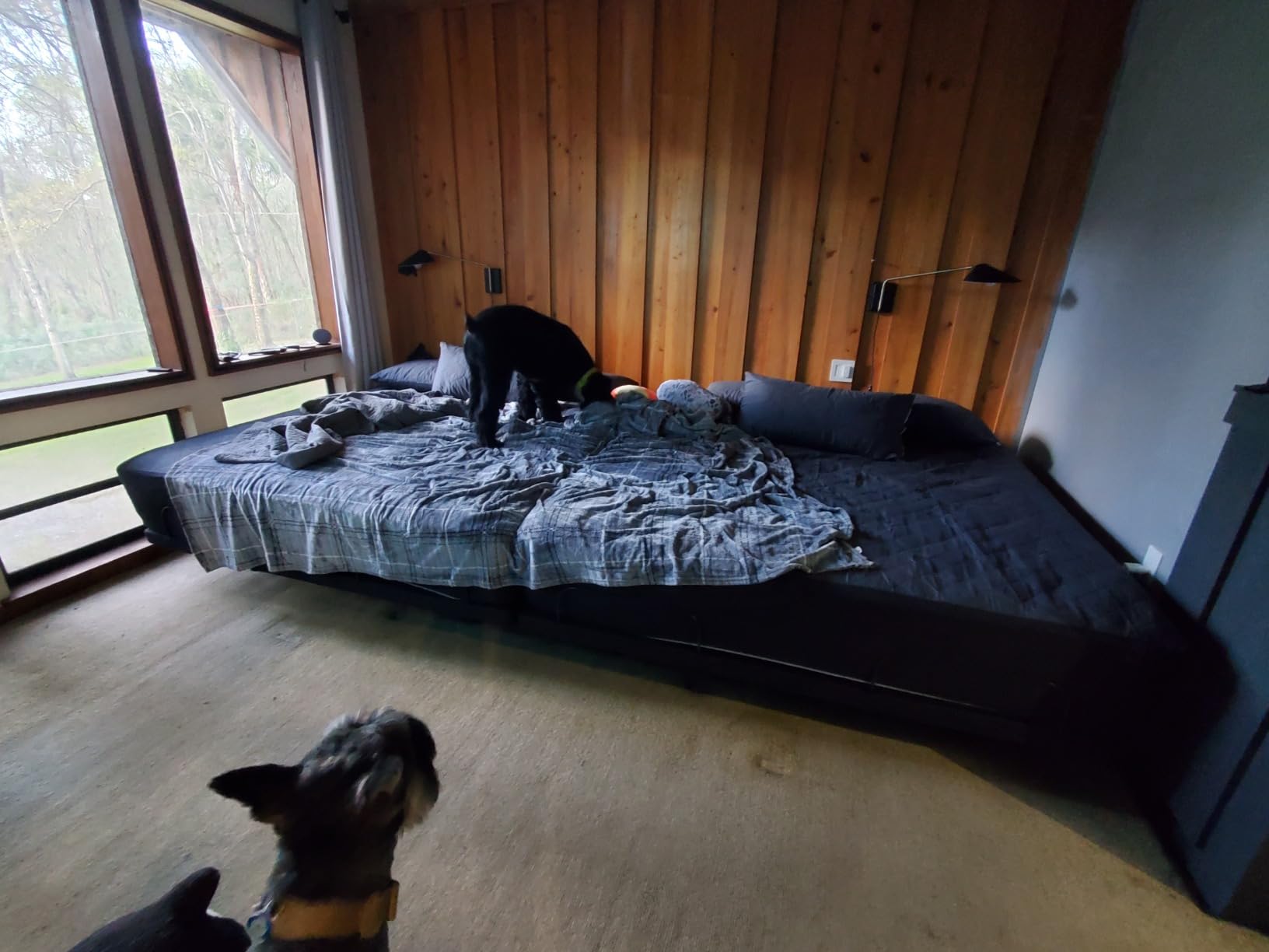 Sven & Son Harmony Adjustable Bed Base, Head and Foot Lift, Massage, Under-Bed Lights, USB, Memory, Zero Gravity Smart Frame - Split King customer photo 1