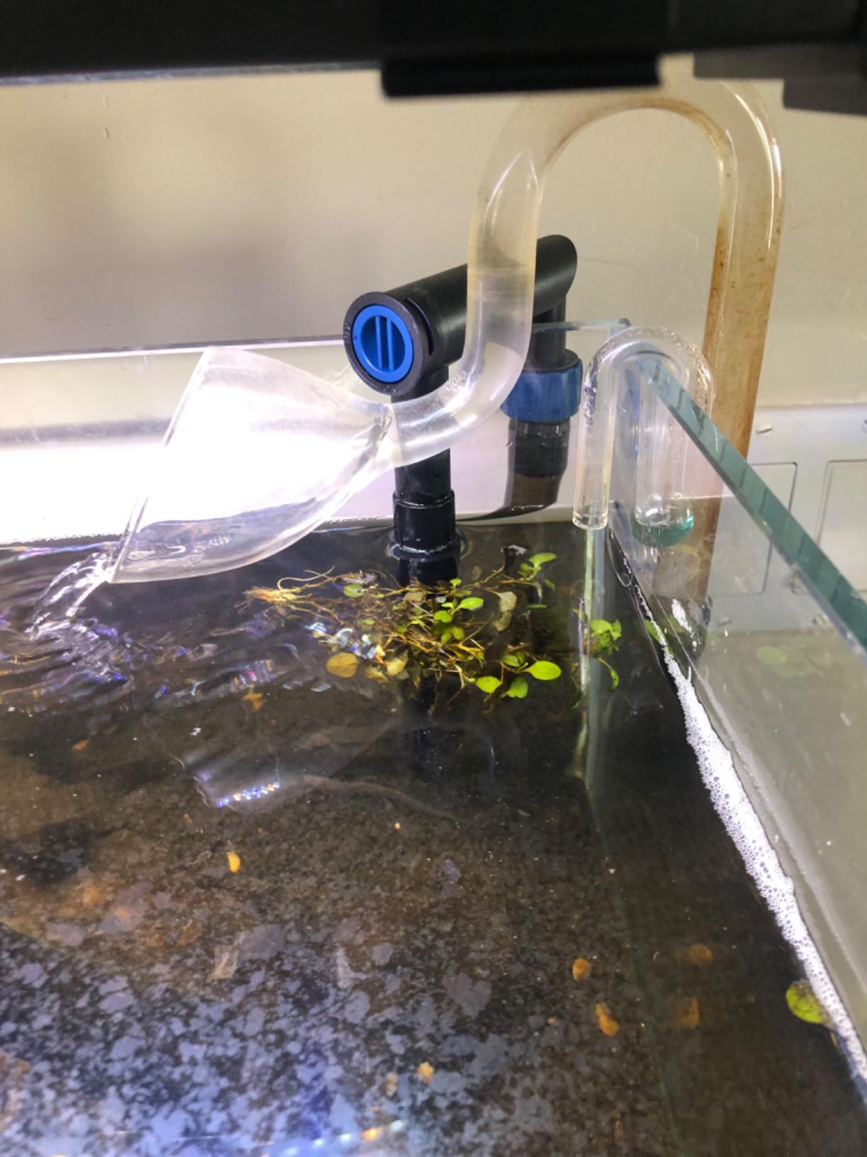 OASE Filtosmart Thermo 100 Canister Filter with Built-in Heater customer photo 2