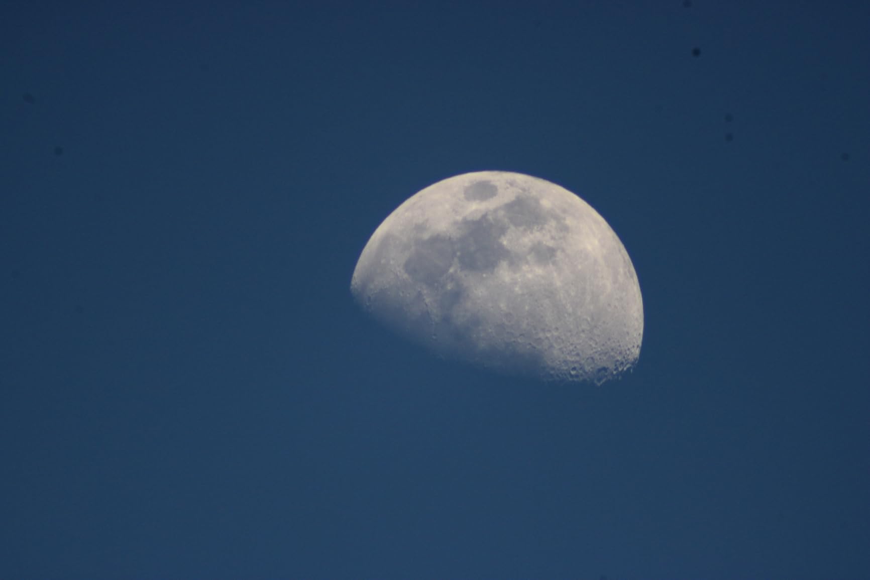 JINTU 420-800mm f/ 8.3 Manual Telephoto Zoom Lens + T-Mount for Canon EOS Rebel SL2 SL1 T3 T3i T4i T5 T5i T6 T6i T6s T7 T7i 4000D 6D 7D 60D 70D 77D 80D 5D II/III/IV 550D 650D SLR Camera Lenses customer photo 2