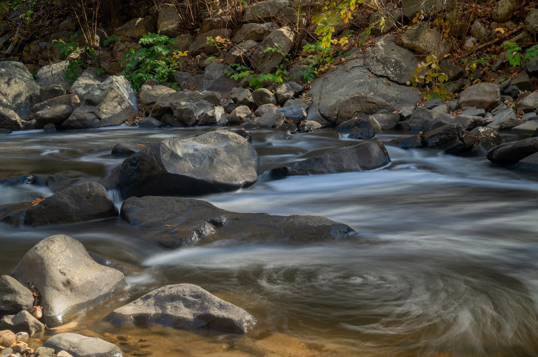 NIKKOR Z 24-70mm f/2.8 S | Professional large aperture mid-range zoom lens for Z series mirrorless cameras | Nikon USA Model customer photo 1