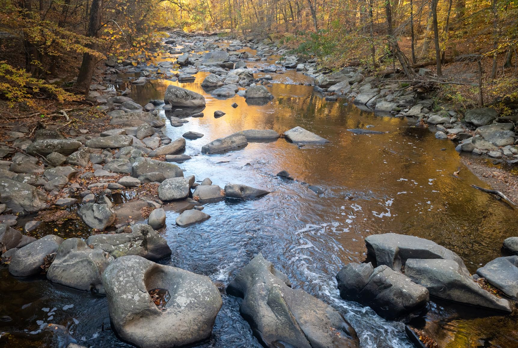 NIKKOR Z 24-70mm f/2.8 S | Professional large aperture mid-range zoom lens for Z series mirrorless cameras | Nikon USA Model customer photo 2