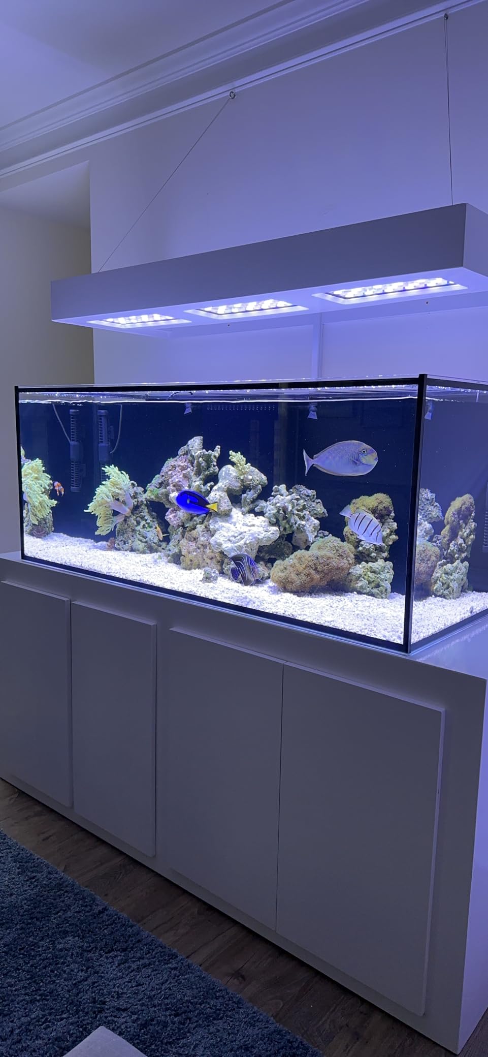 150 Gallon Starfire Glass Aquarium 60x24x24 12mm Eurobraced with Built-in Overflow Box customer photo 3