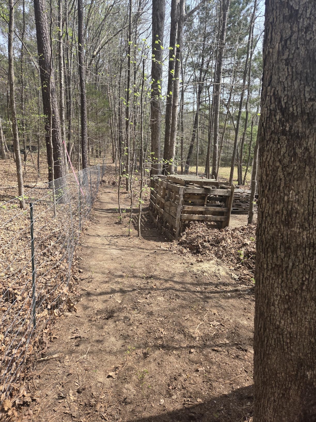 WORX Trivac 3 in 1 Electric Leaf Blower for Lawn Care, Leaf Vacuum with 600 CFM, Leaf Mulcher with Metal Impeller, WG512 customer photo 1