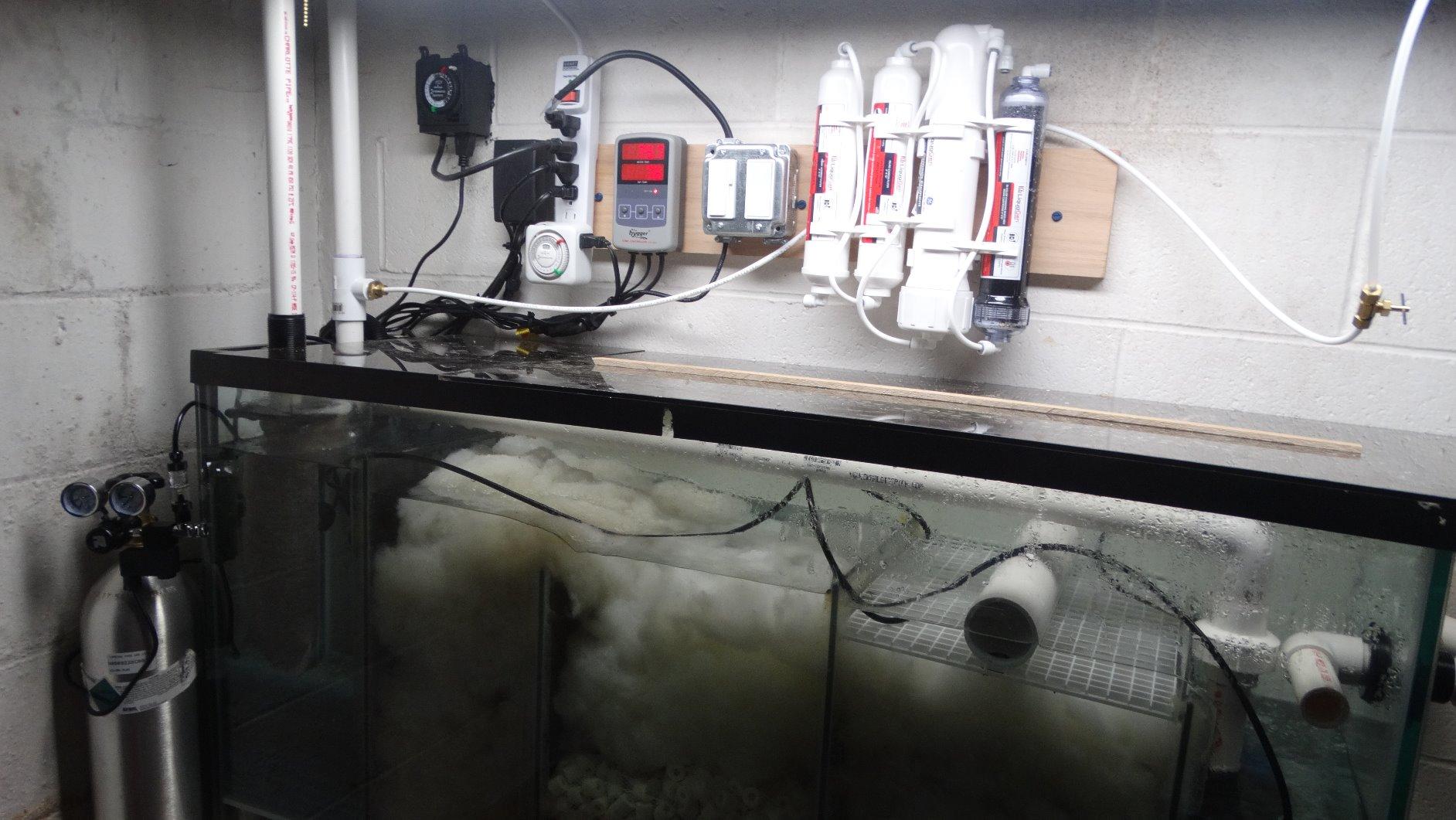 hygger Marine 500W Titanium Aquarium Heater for Salt Water and Fresh Water, Digital Submersible Heater with External IC Thermostat Controller and Thermometer customer photo 1