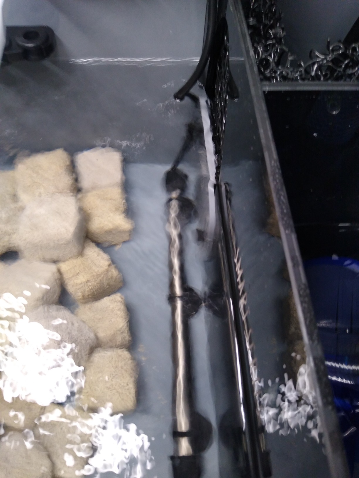 hygger Marine 500W Titanium Aquarium Heater for Salt Water and Fresh Water, Digital Submersible Heater with External IC Thermostat Controller and Thermometer, Fish Tank Heater for Fish Tank 60-120Gallon customer photo 2