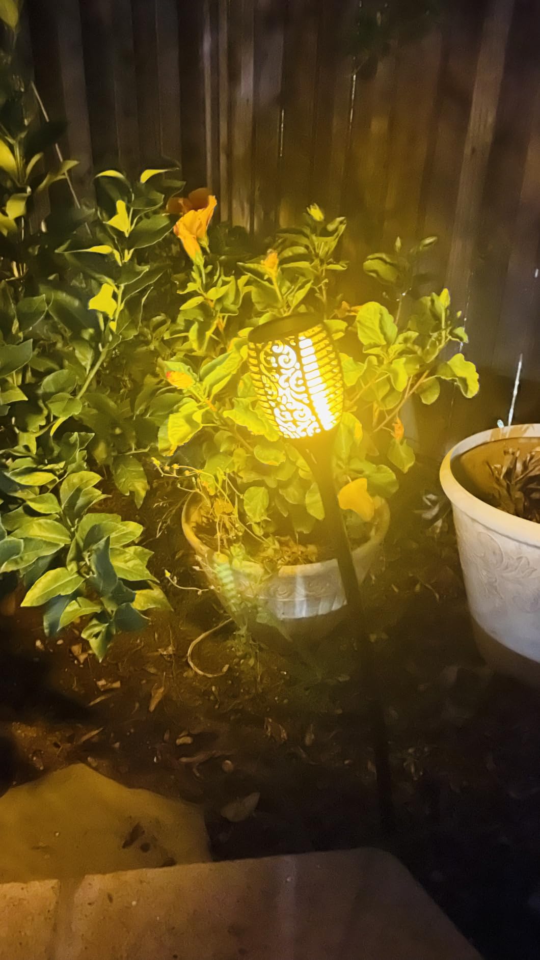 TomCare Solar Lights Outdoor 99 LED Higher & Larger Flickering Flame Solar Torch Lights 43