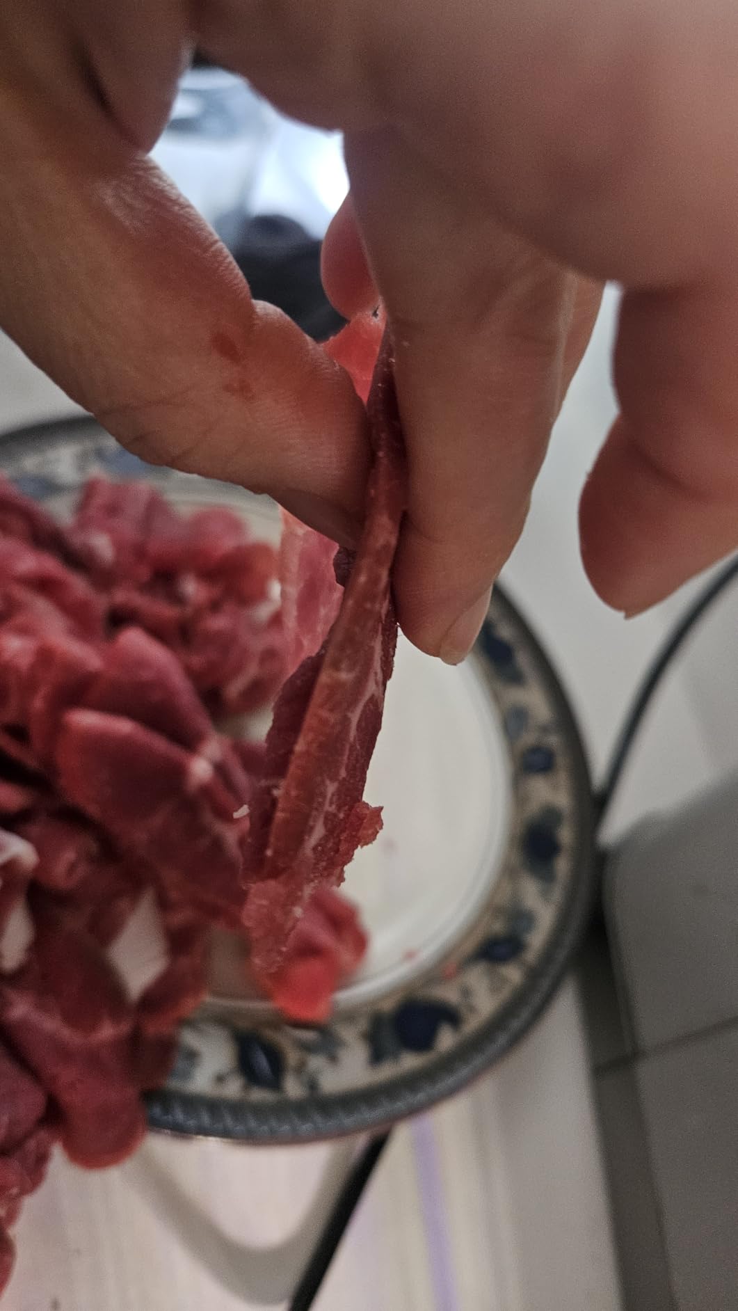 OSTBA Meat Slicer Electric Deli Food Slicer with Child Lock Protection, Removable 7.5'' Stainless Steel Blade and Food Carriage, Adjustable Thickness Food Slicer Machine for Meat, Cheese, Bread (150W) customer photo 2