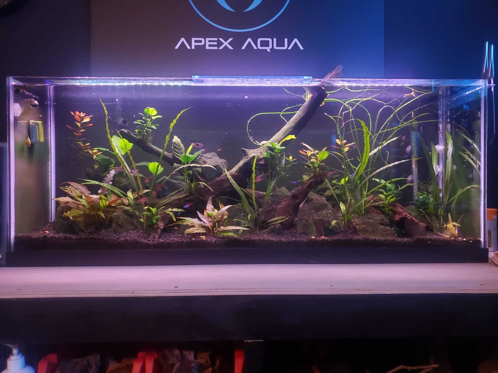 Finnex Planted Plus True 24/7 + HLC Aquarium LED Light, Automated Full Spectrum Fish Tank Light, True 660nm Deep Red Plant LEDs, 24 Inch, (HLC-24) customer photo 1