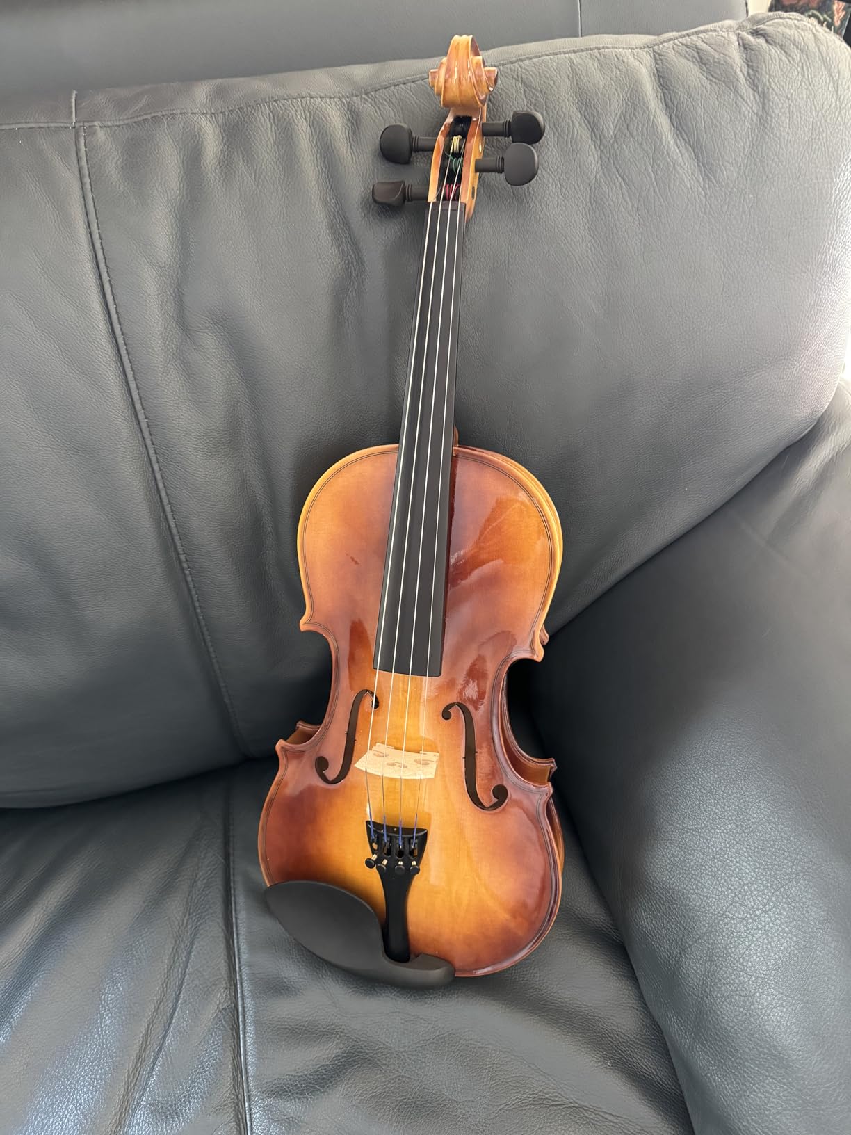 Eastar 4/4 Violin Set Full Size Fiddle Solidwood for Adults with Hard Case, Shoulder Rest, Rosin, Two Bows, Clip-on Tuner and Extra Strings, EVA-330 customer photo 1
