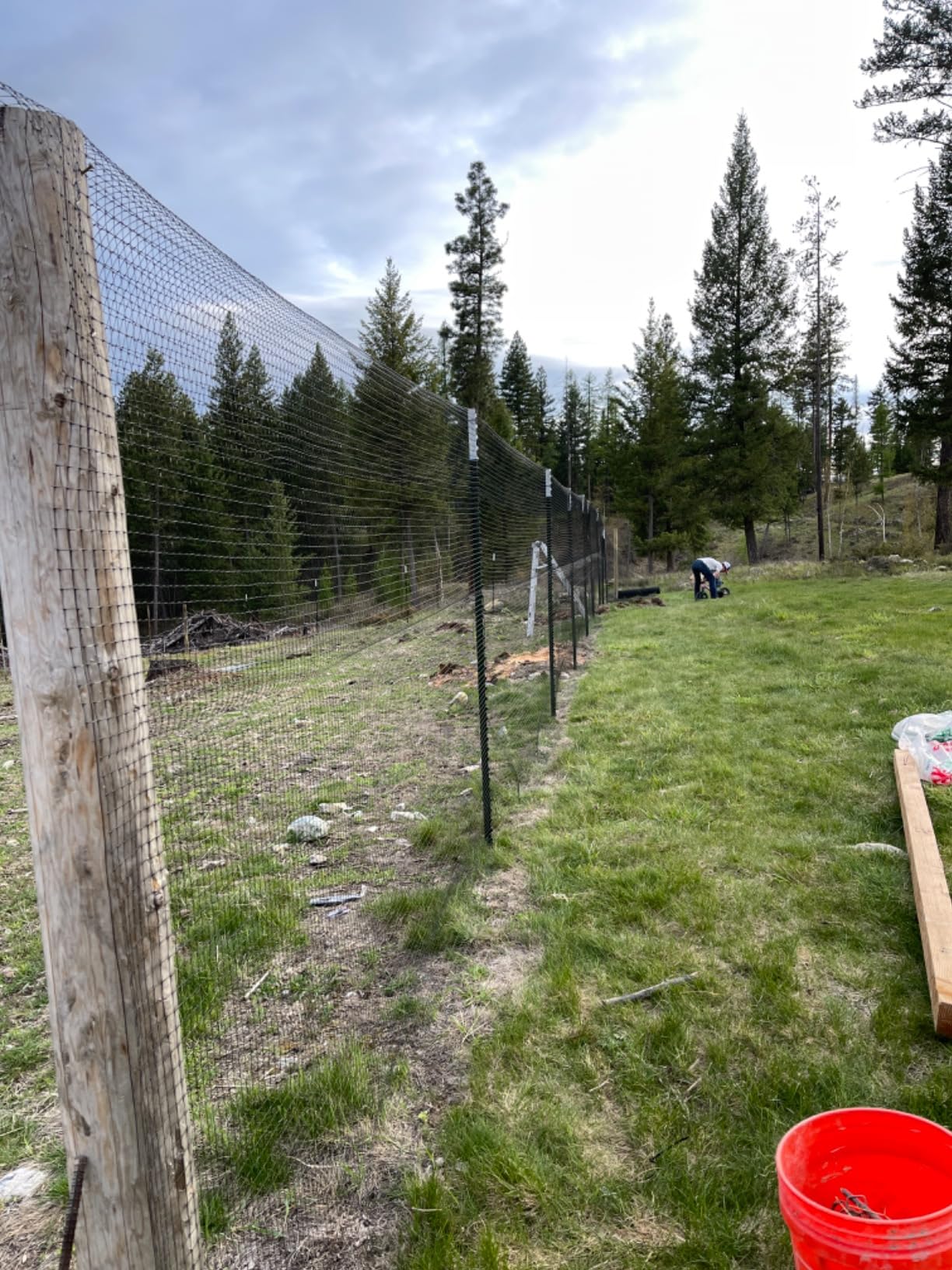 OldMacDonald Deer and Animal Fence Barrier Netting (55gr/sq m.) 7.5' x 165' (2.3m x 50m) (mesh 19x19mm) - Folded for Shipping customer photo 1