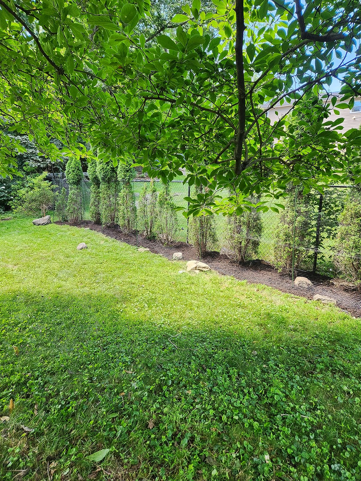 OldMacDonald Deer and Animal Fence Barrier Netting (55gr/sq m.) 7.5' x 165' (2.3m x 50m) (mesh 19x19mm) - Folded for Shipping customer photo 2
