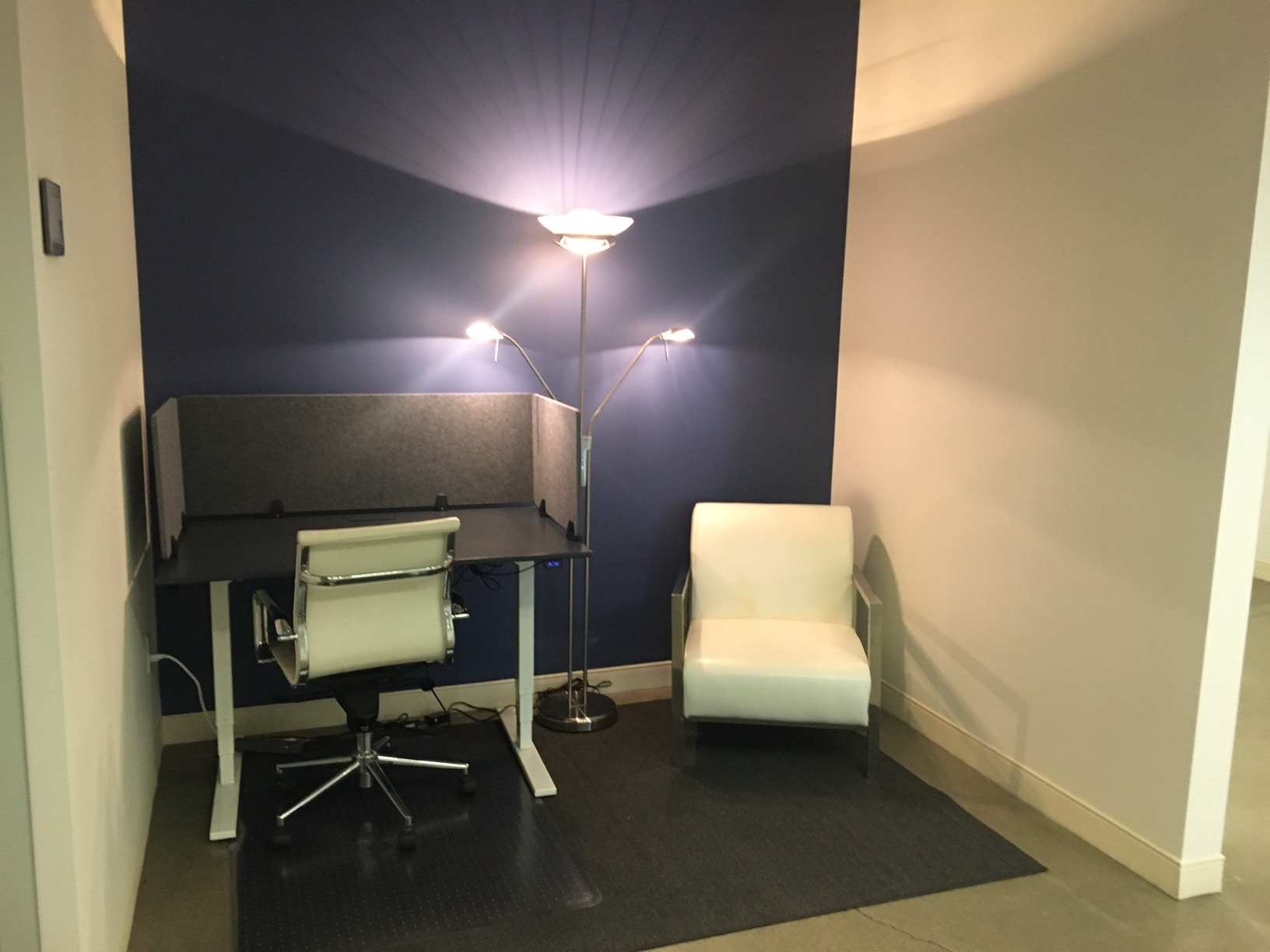 Stand Up Desk Store ReFocus Raw Clamp-On Acoustic Desk Divider Mounted Privacy Panel to Reduce Noise and Visual Distractions customer photo 1