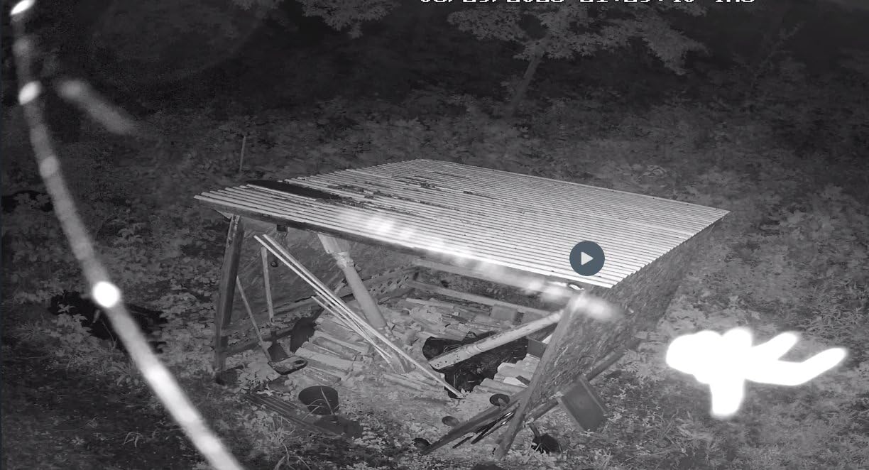 REOLINK 8CH 5MP Home Security Camera System, 6pcs Wired Outdoor PoE IP Cameras with Person/Vehicle/Pet Detection, 4K/8MP 8CH NVR with 2TB HDD for 24-7 Recording, RLK8-410B6-5MP customer photo 2