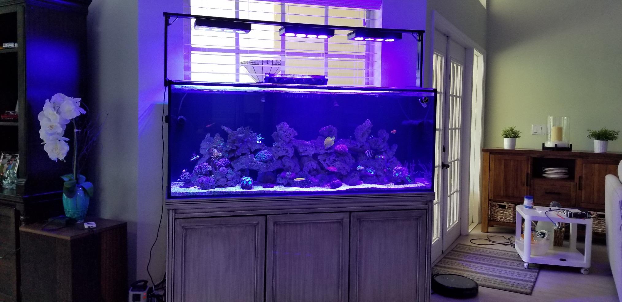 120 Gallon Starfire Glass Aquarium 12mm Eurobraced with Built-in Overflow Box customer photo 2