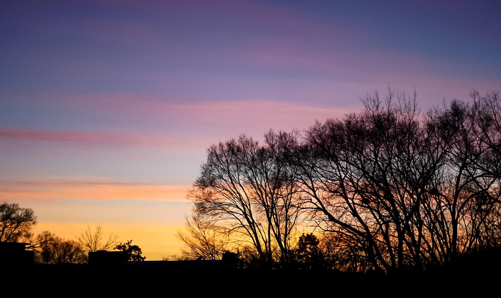 Sony FE 50mm F1.8 Standard Lens (SEL50F18F) customer photo 2