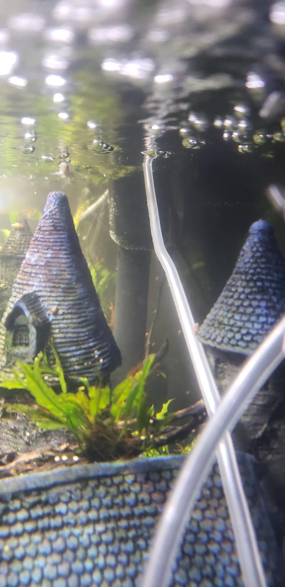 Marineland Penguin PRO 375 Power Filter, Multi-Stage Aquarium Filtration for Up to 75 Gallons customer photo 2