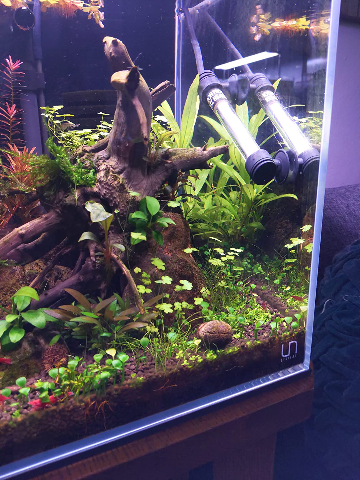 hygger 50W Mini Inline Quartz Glass Aquarium Heater with External Controller customer photo 1