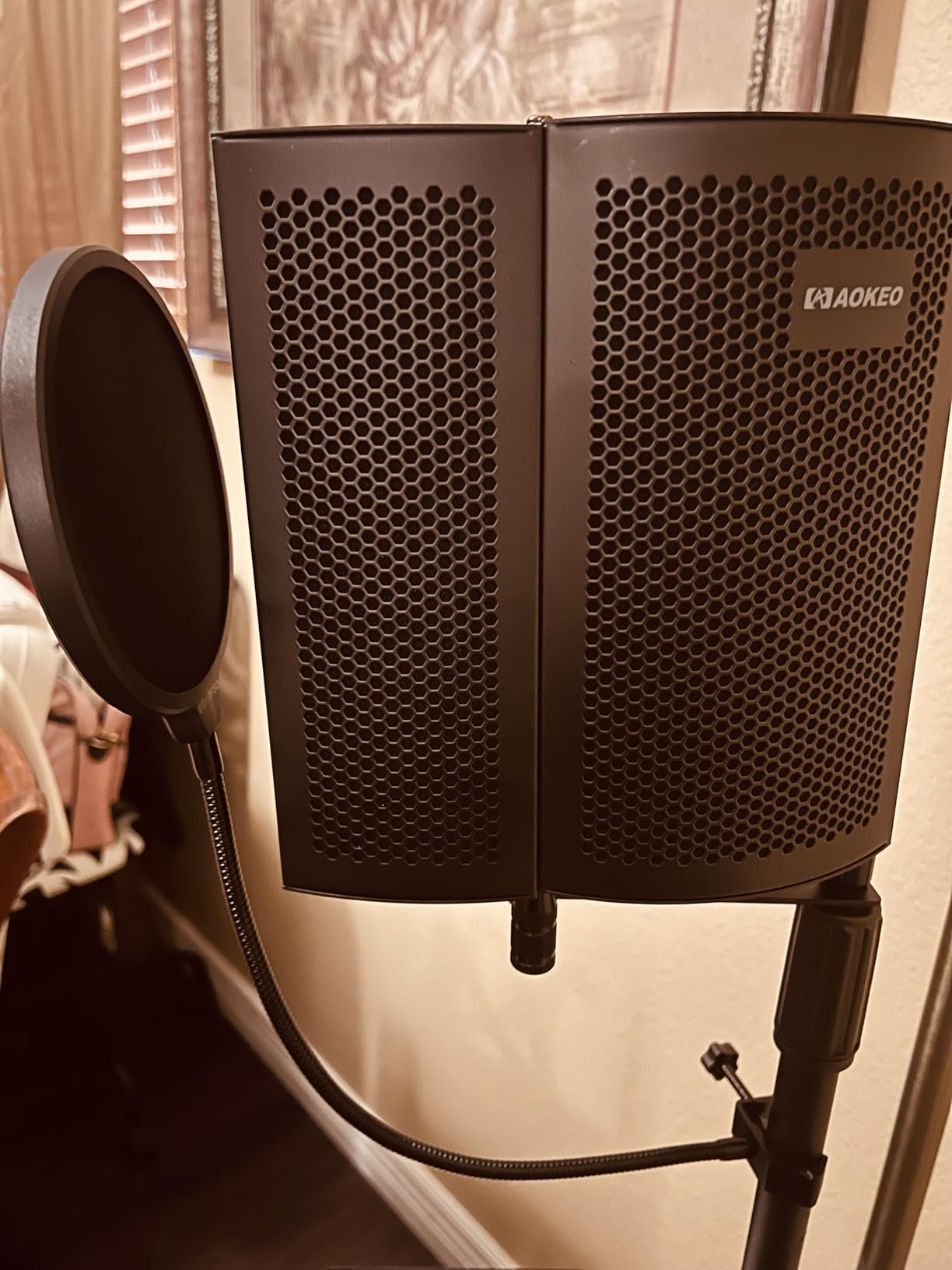 Professional Studio Recording Microphone Isolation Shield, Pop Filter, High density absorbent foam customer photo 2