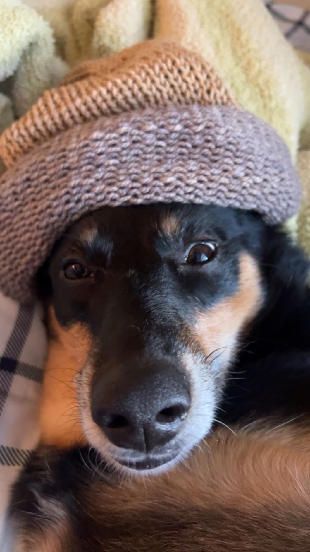 SENTRO 48 Needles Knitting Machine with Electric Adapter, Smart Weaving Loom Round Spinning Crochet Knitting Machines with Row Counter customer photo 2