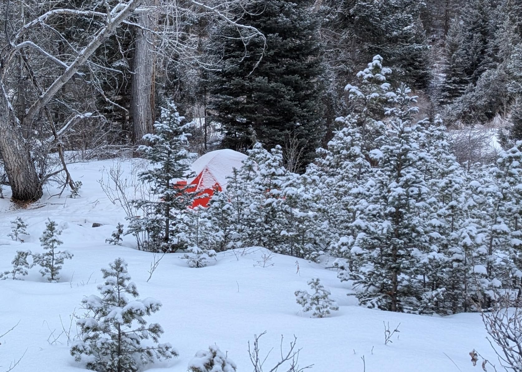 MSR Access 3-Person Lightweight 4-Season Tent customer photo 1