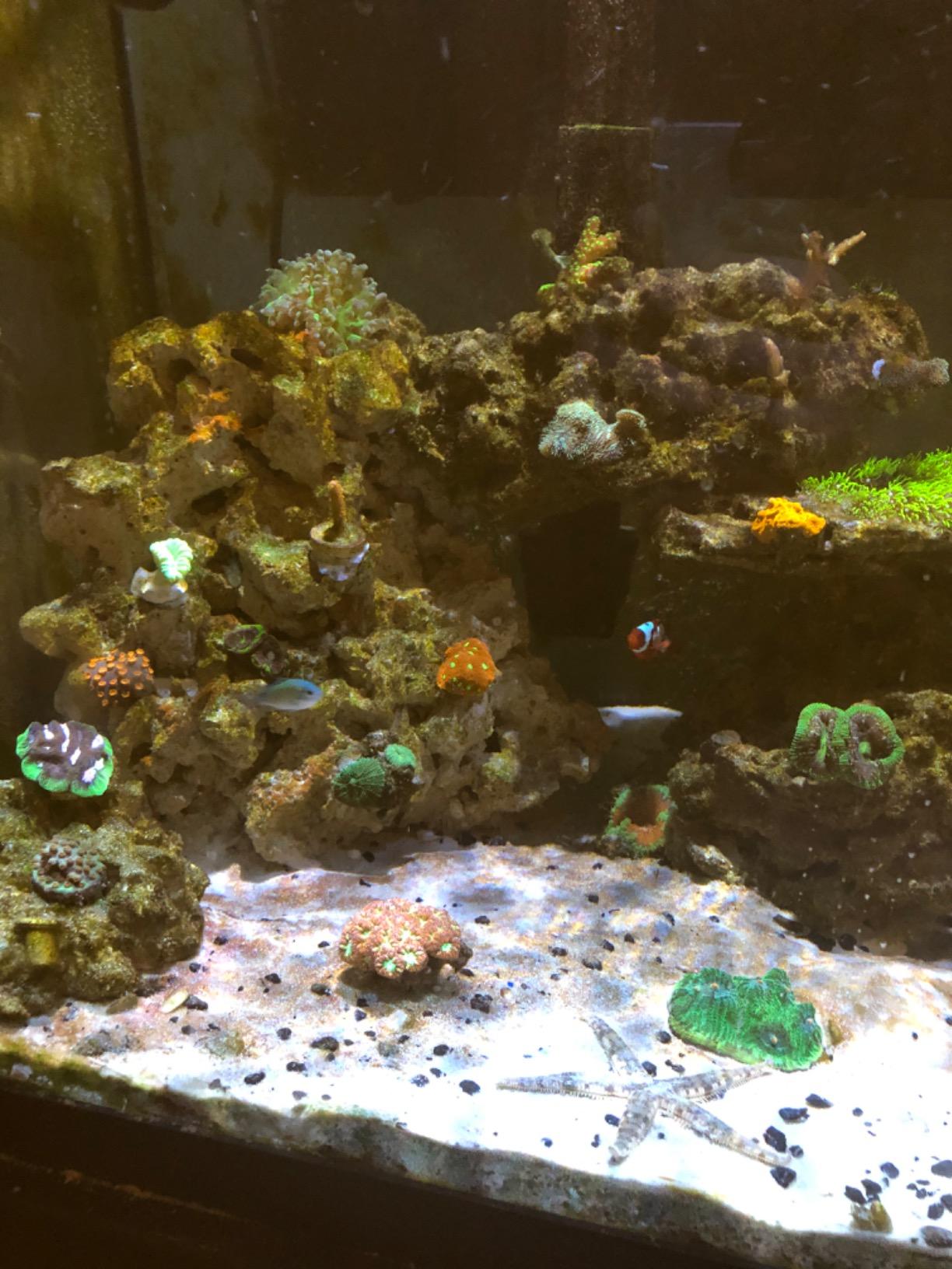 2K Gyre Flow Pump Only customer photo 2