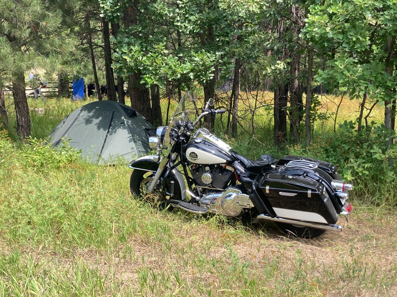 Forceatt Camping Tent 2/3/4 Person, Professional Waterproof & Windproof Lightweight Backpacking Tent Suitable for Outdoor, Hiking, Camping, Mountaineering and Travel customer photo 1