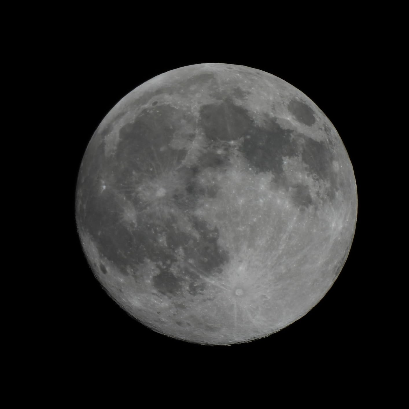 NIkon COOLPIX P950 Superzoom Digital Camera | 83x Optical Zoom with Image Stabilization 16 MP 4K Ultra HD Video Wi-Fi Connectivity RAW Format and Rotating LCD Screen (Black) customer photo 2