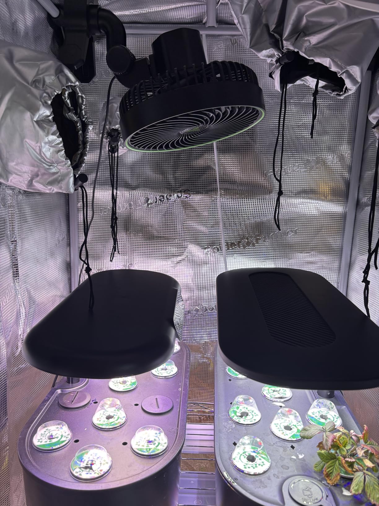 Spider Farmer 4.6x2.3 Grow Tent - 55