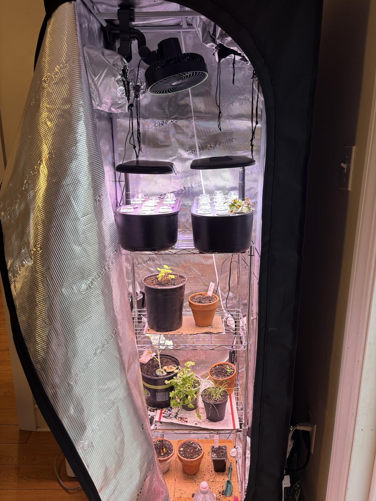 Spider Farmer 4.6x2.3 Grow Tent - 55