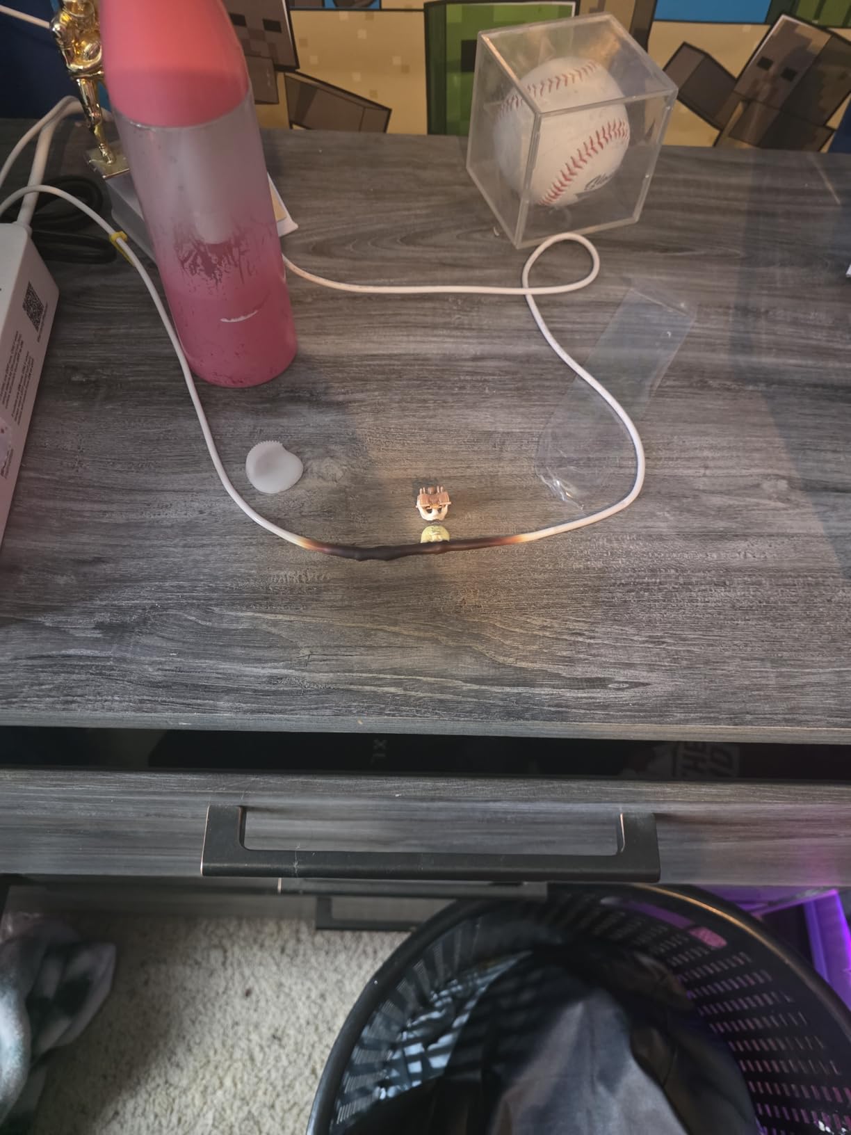 Digital Temperature Controller Dual Probe Reptile Thermostat Controlled Outlet for Terrarium Heat Mat Heating Pad, Switch Cooling Fan Freezer Fridge ON & Off at Setpoints 10A 1200W customer photo 1