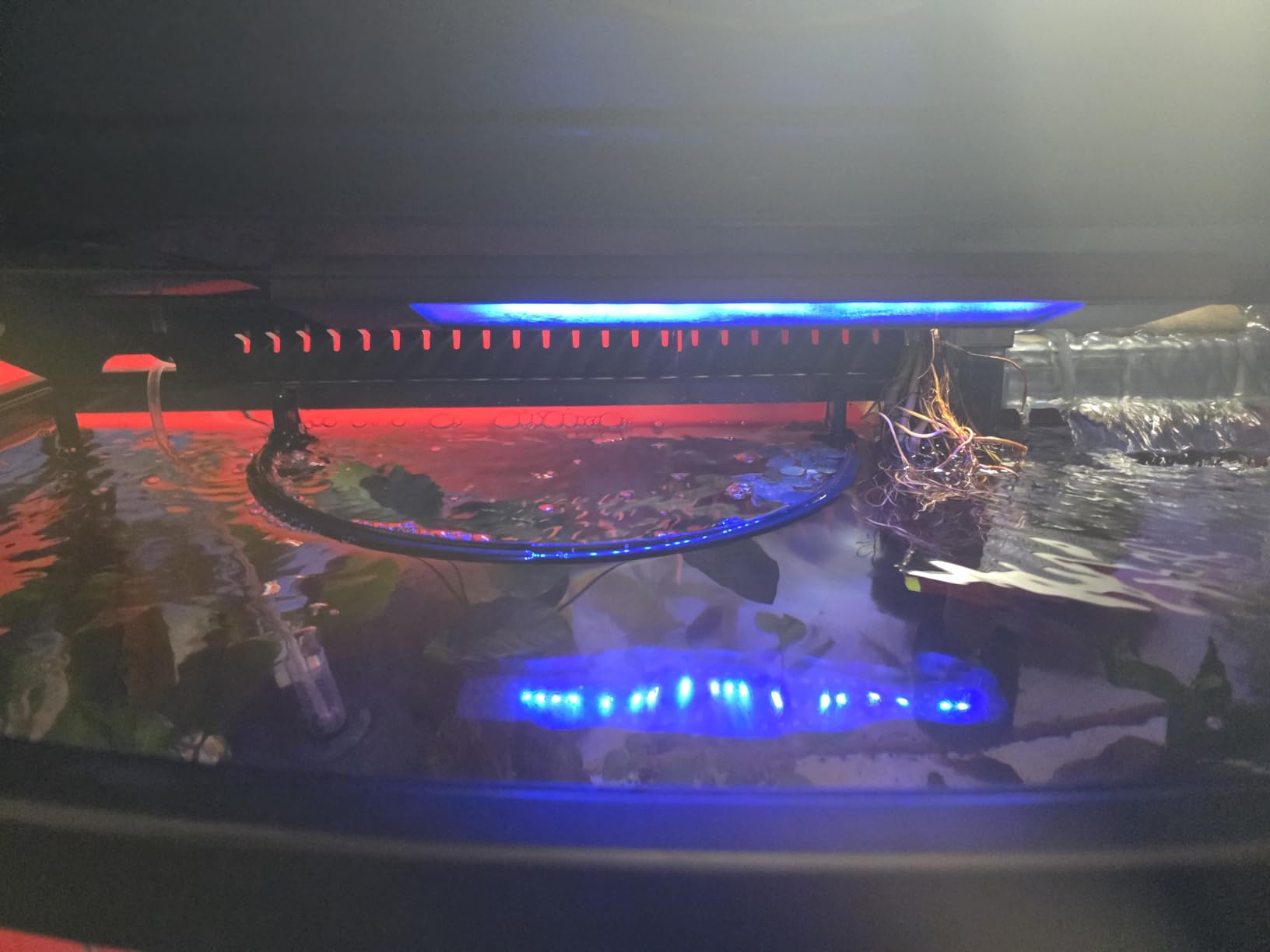 Fluval Plant 3.0 LED Planted Aquarium Lighting, 22 Watts, 15-24 Inches customer photo 1