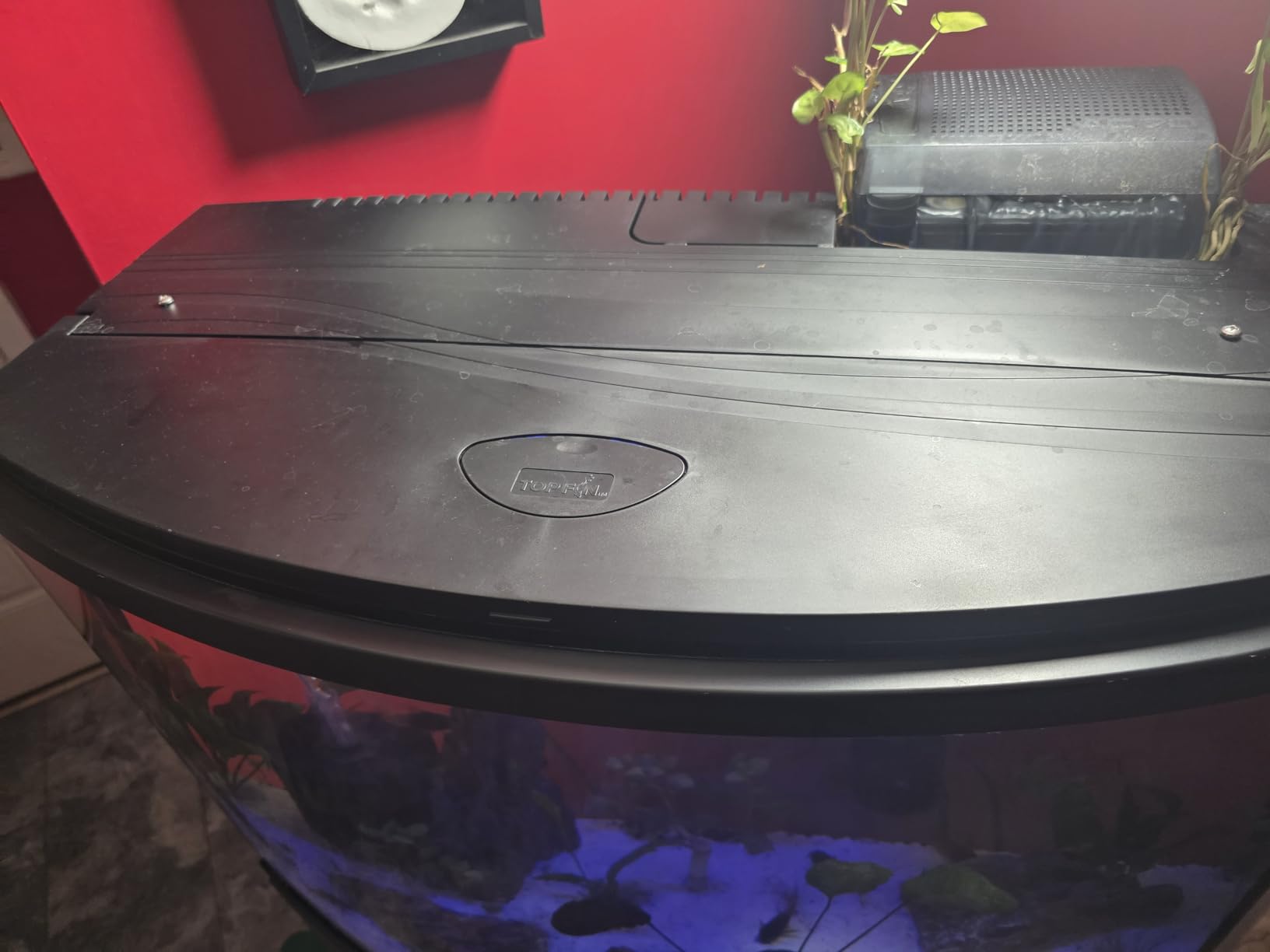 Fluval Plant 3.0 LED Planted Aquarium Lighting, 22 Watts, 15-24 Inches customer photo 2