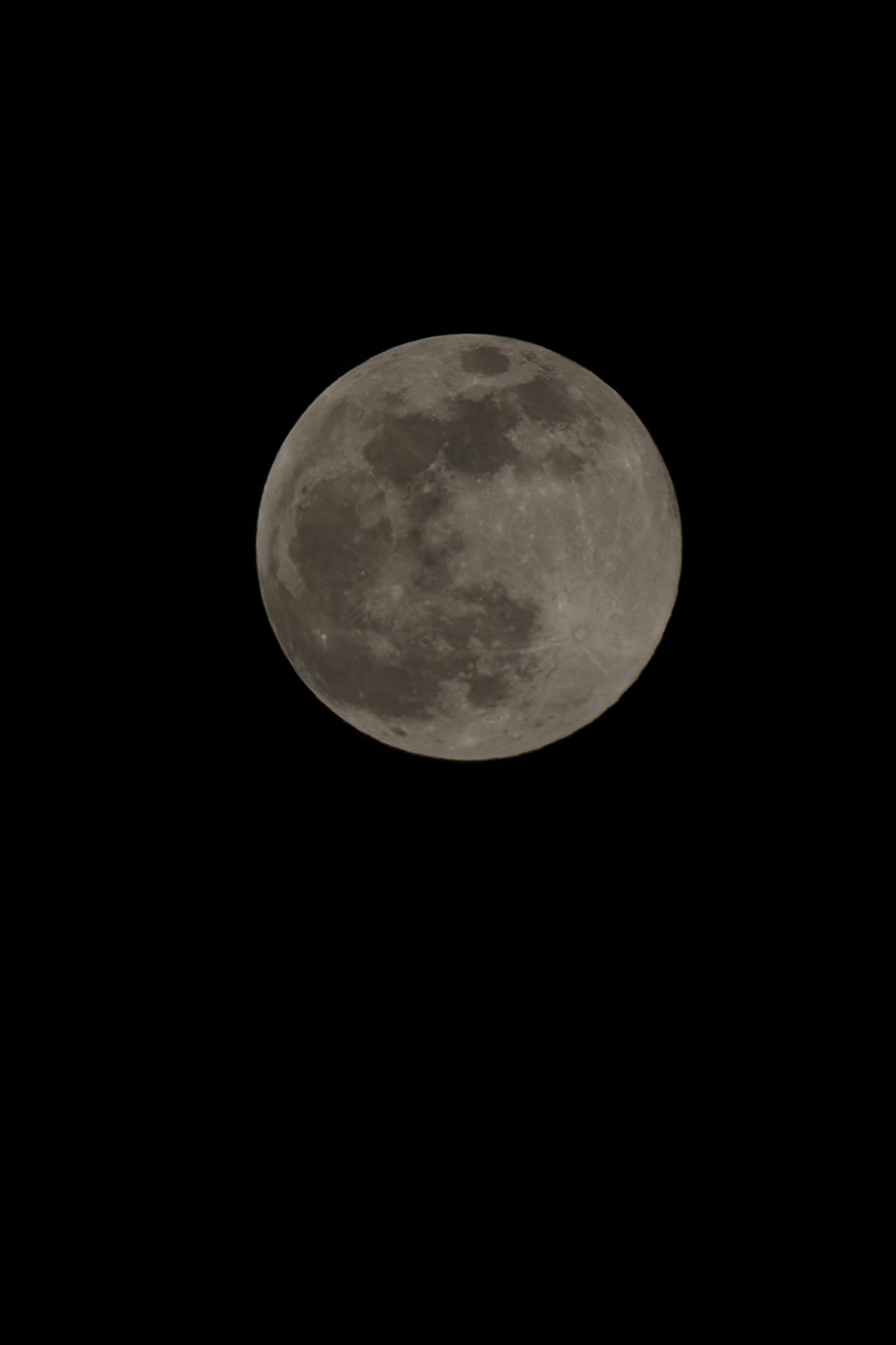 Canon RF24-105mm F4-7.1 IS STM (4111C002) customer photo 2