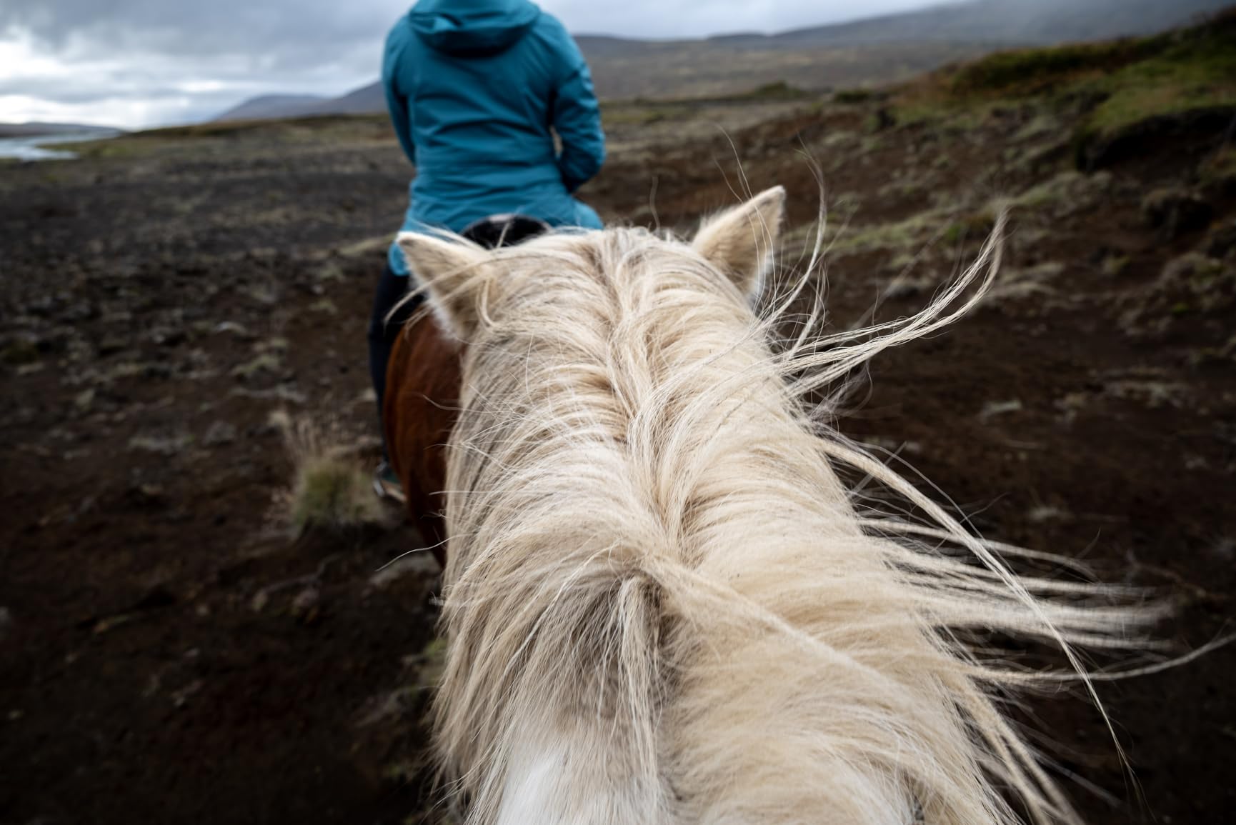 NIKKOR Z 24-200mm f/4-6.3 VR | Compact all-in-one telephoto zoom lens with image stabilization for Z series mirrorless cameras | Nikon USA Model customer photo 1