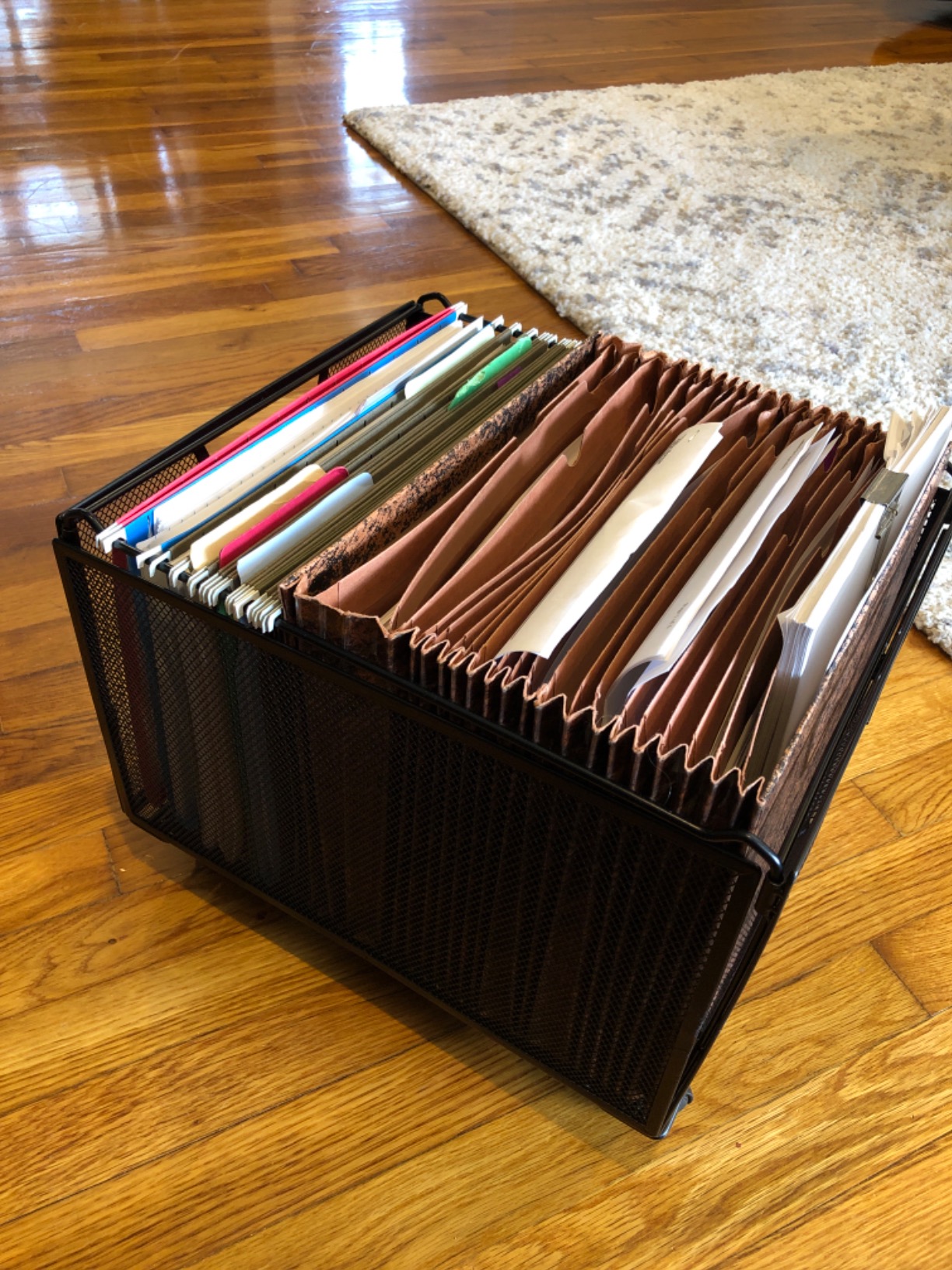 Simple Houseware Stackable Mesh Hanging File Folder Organizer with Wheels, Black customer photo 1