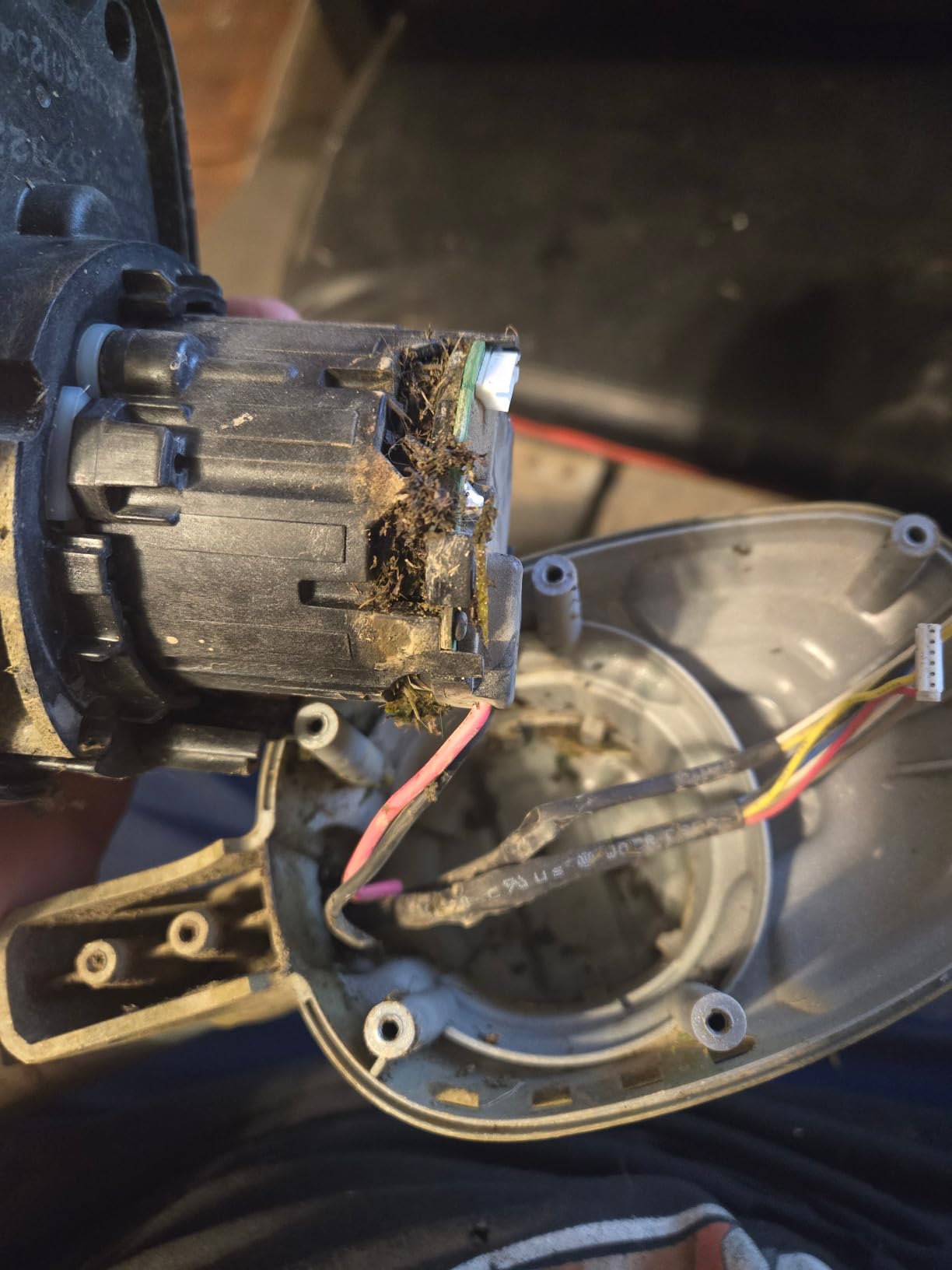 DEWALT 20V MAX* XR String Trimmer, 14-Inch, Tool Only (DCST922B) customer photo 1