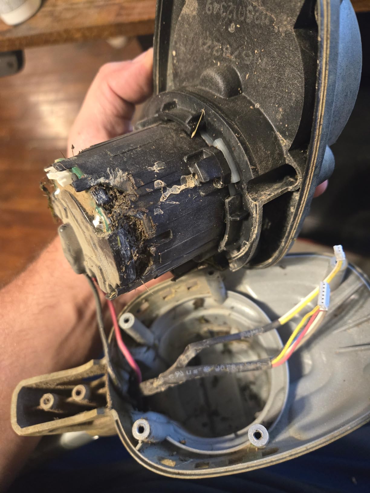 DEWALT 20V MAX* XR String Trimmer, 14-Inch, Tool Only (DCST922B) customer photo 2