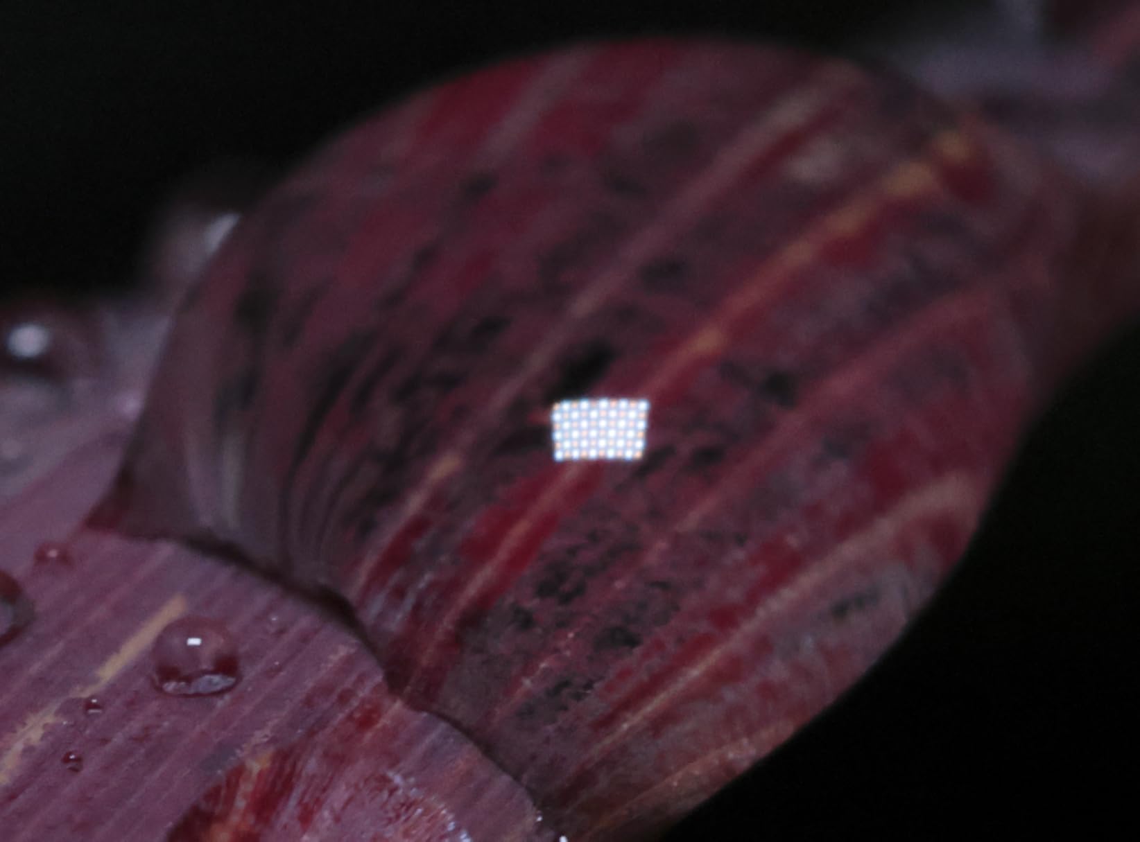 Lume Cube Bicolor Panel Mini LED Light for Professional DSLR Cameras | Adjustable Panel Mini, LCD Display | Photo and Video Lighting, Long Battery Life | Fits Sony, Nikon, Canon, Fuji, Panasonic customer photo 1