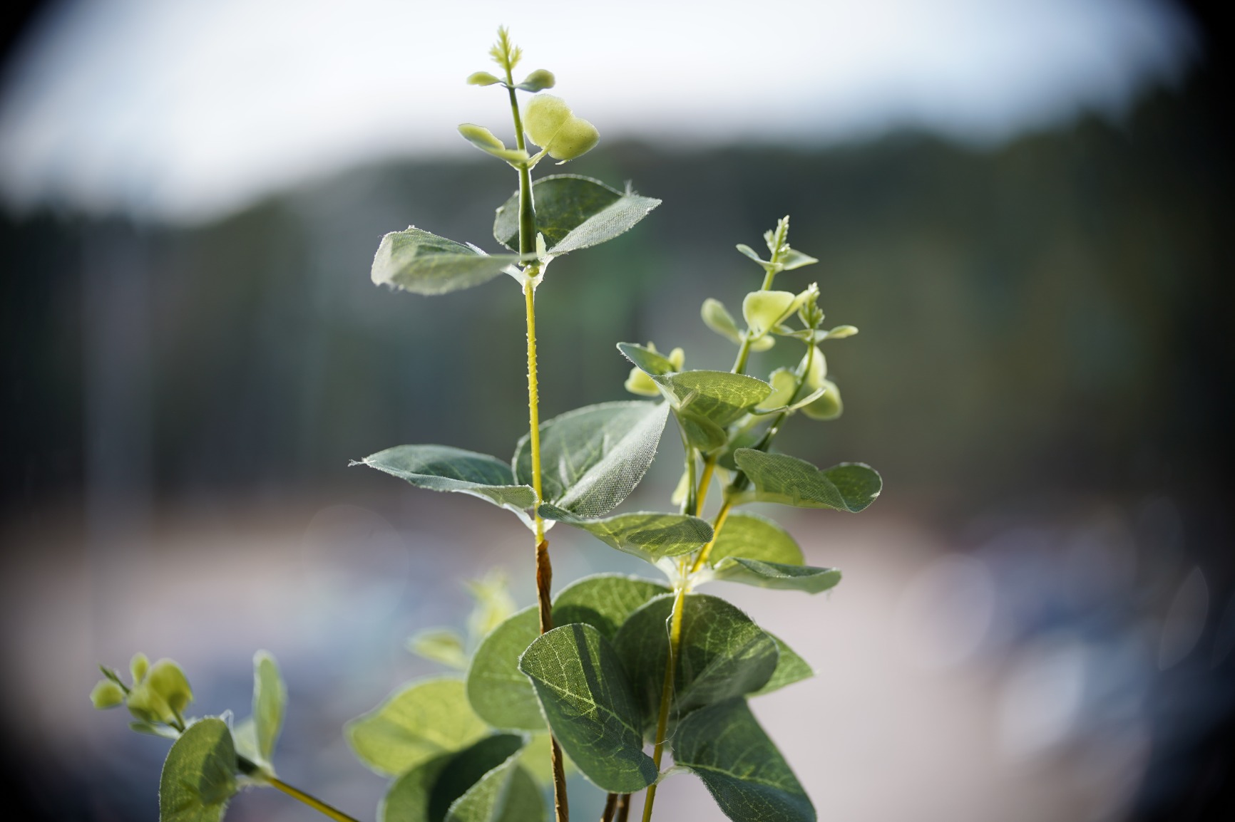 K&F CONCEPT EF EF-S Lens to NEX Adapter Plus, Manual Focus Lens Adapter with Matting Varnish Design Compatible with Sony Alpha E Mount Mirrorless Cameras customer photo 2