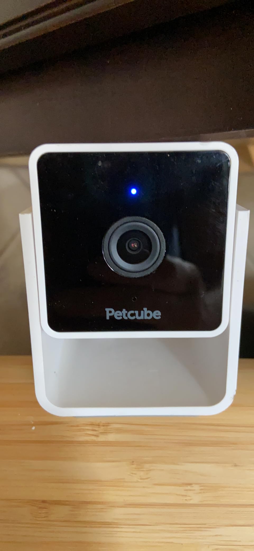 Petcube Cam | Indoor Wi-Fi Pet and Security Camera with Phone App, Pet Monitor with 2-Way Audio and Video, Night Vision, 1080p HD Video and Smart Alerts for Ultimate Home Security customer photo 2