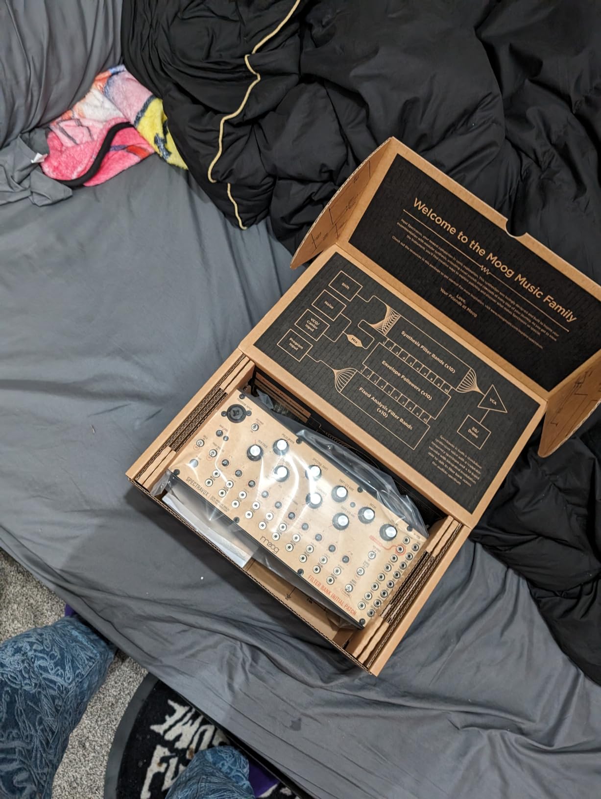 MOOG Subharmonicon Semi-Modular Analog Polyrhythmic Synthesizer with Dual Sequencer, MIDI, and Patch Bay customer photo 2