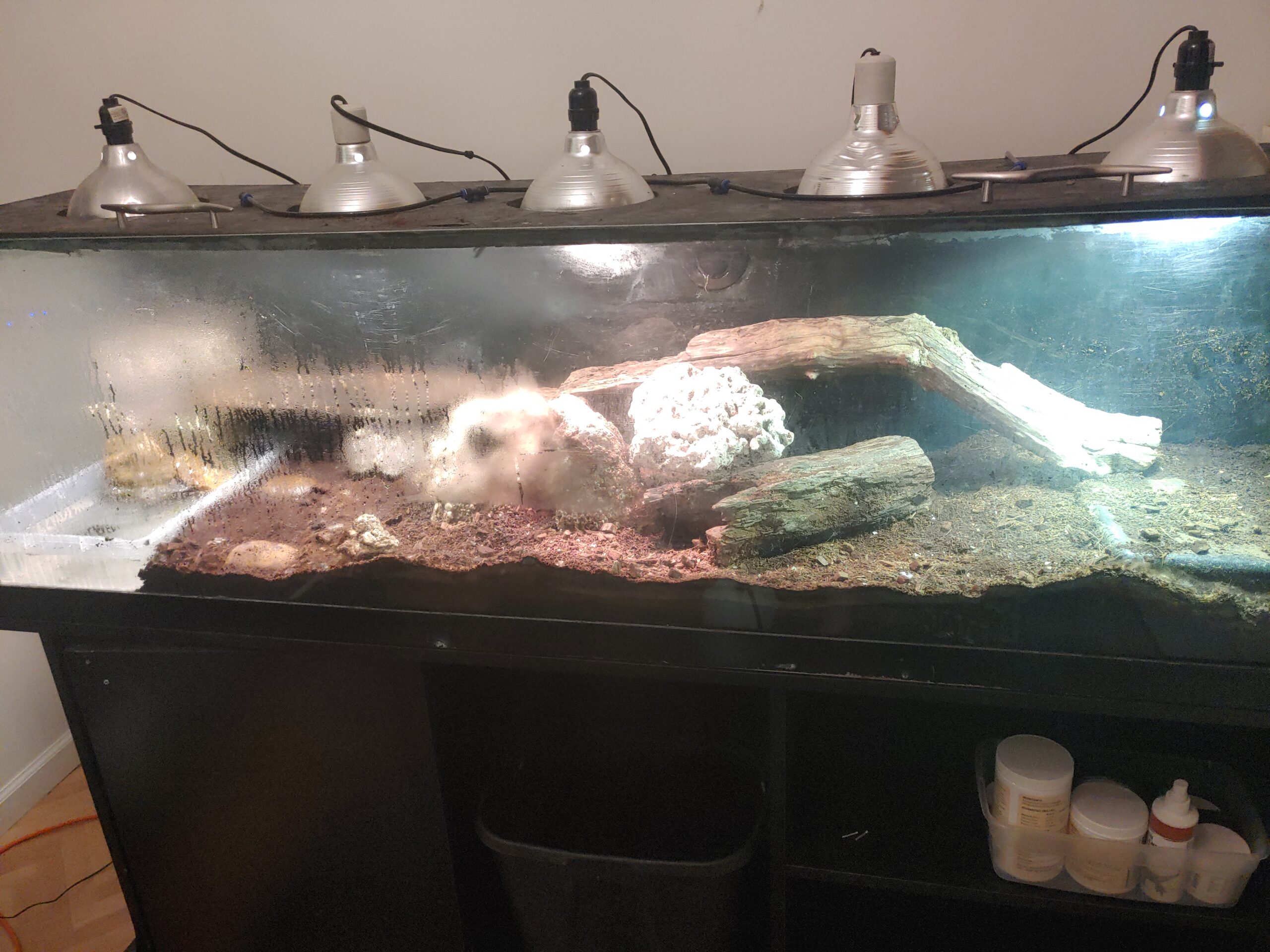 Inkbird Digital Wi-Fi Humidity Controller IHC-200 Dual Outlet Pre-Wired Humidistat for Mushroom Growing Curing Meat Reptile Greenhouse Support Humidifier Dehumidifier Fan iOS&Andriod customer photo 2