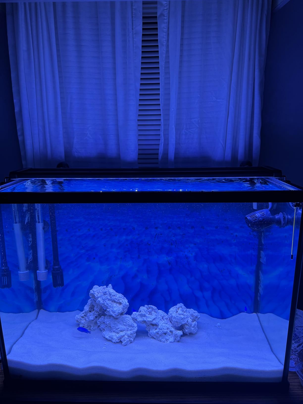 NICREW 36W Saltwater Aquarium Light, Marine LED Reef Light for Corals, Programmable Timer Controller, 36 to 48-Inch customer photo 1