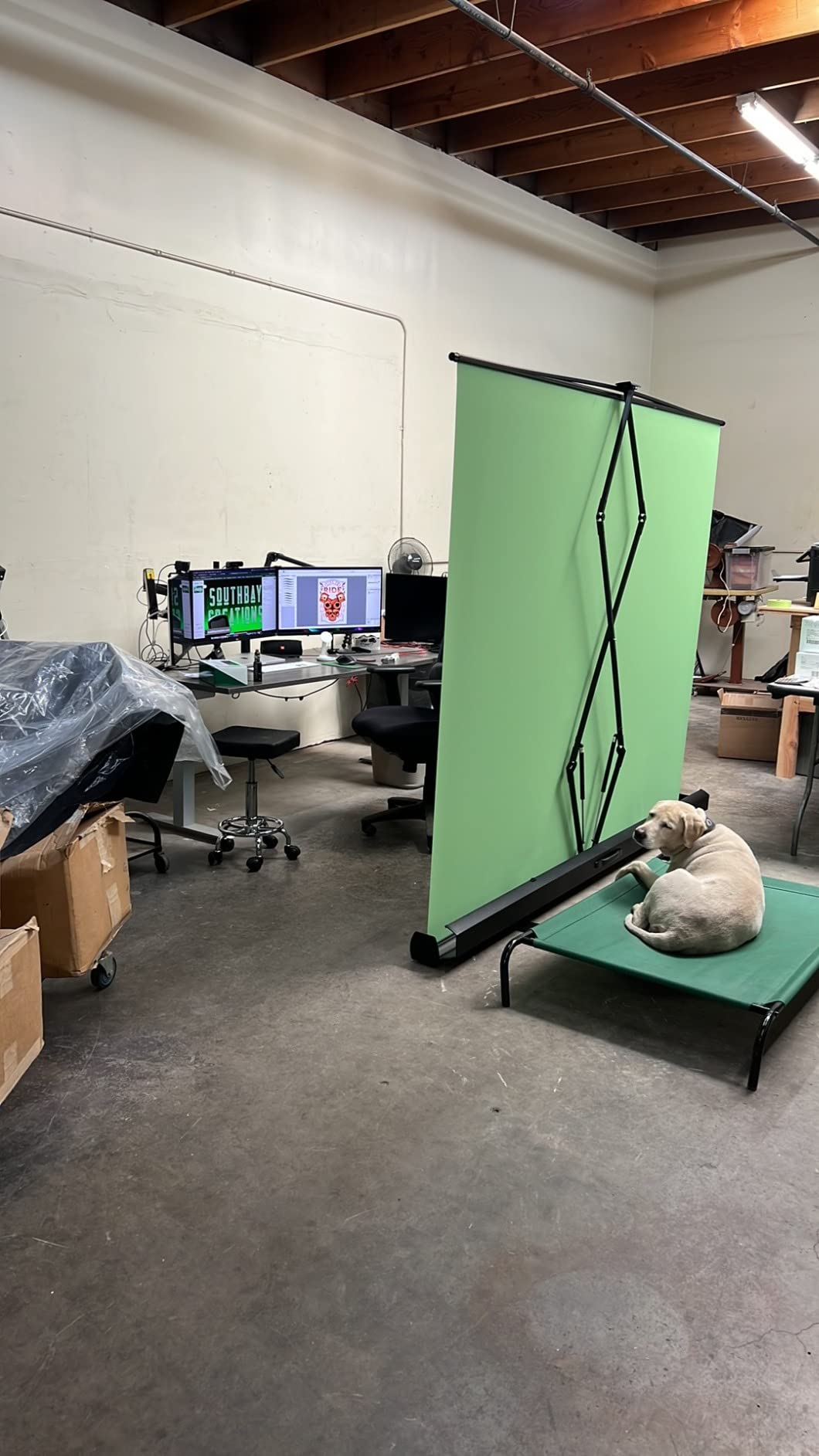 EMART 77x92in Collapsible Chromakey Panel Green Screen for Photo Backdrop Video Studio, Portable Pull Up, Solid Aluminium Base Wrinkle-Resistant Fabric, Auto-Locking Air Cushion Frame customer photo 2