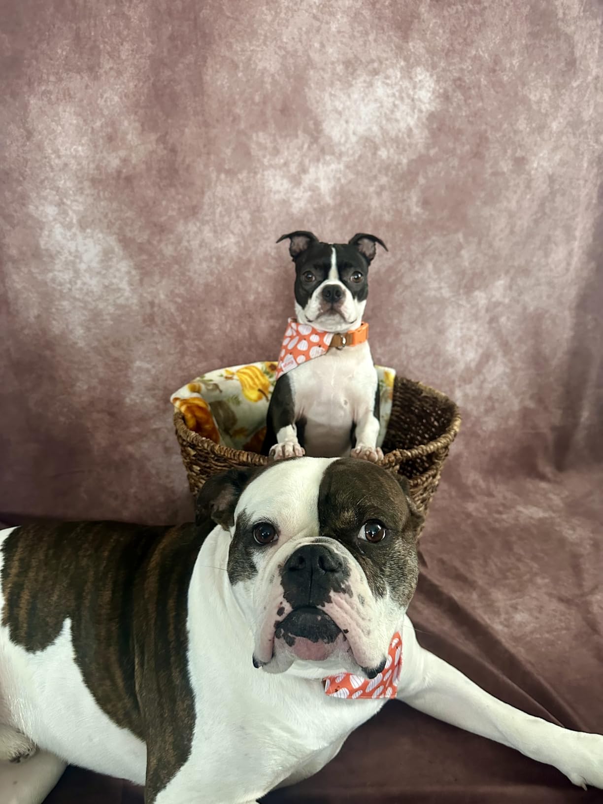 Kate 5x7ft Vintage Backdrops Abstract Grey Portrait Photo Backdrop for Photography Studio customer photo 1