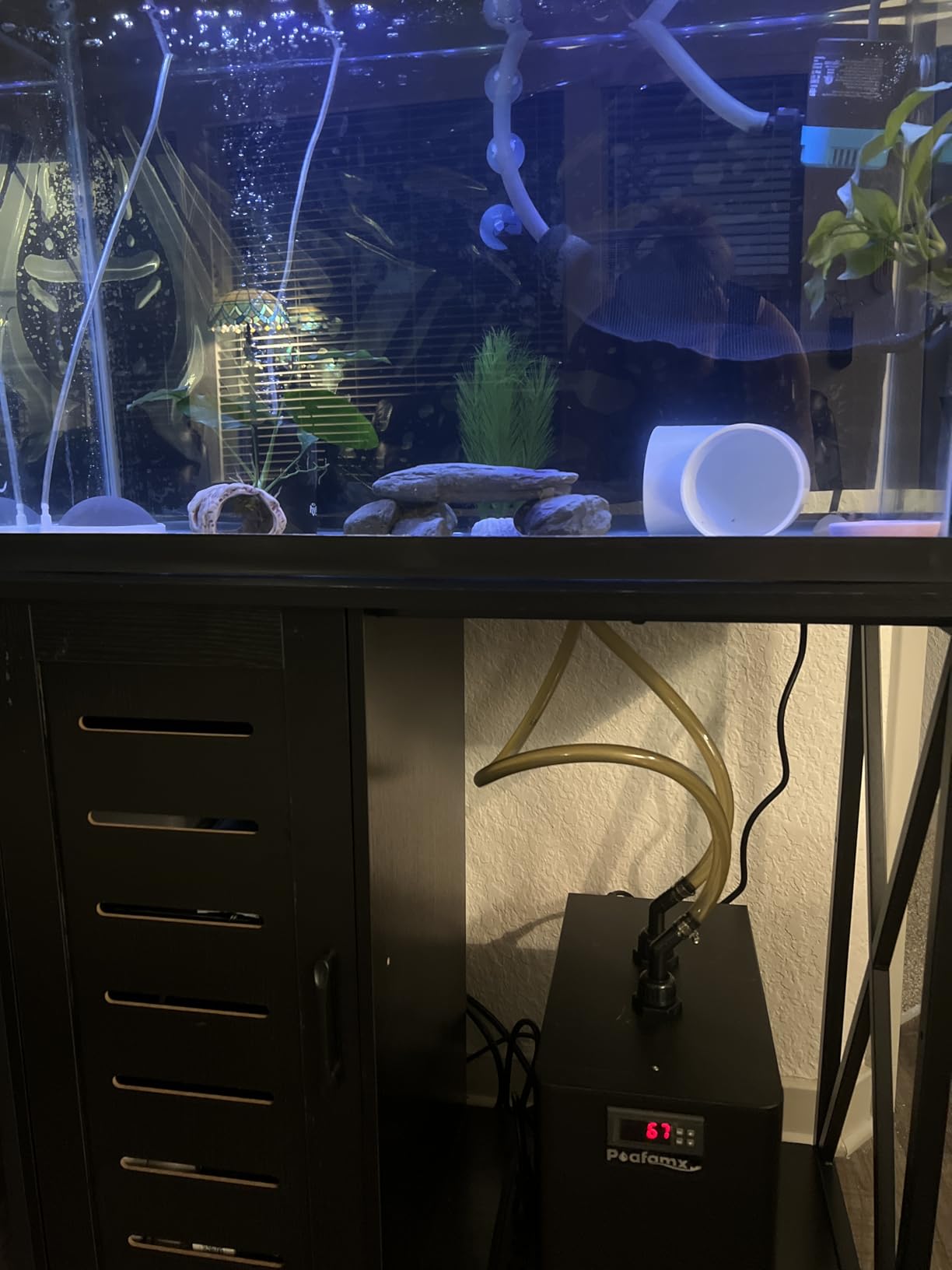 Poafamx 42gal Aquarium Chiller, 1/10 HP Water Chiller with Quiet Compressor for Hydroponics System, Coral Reef Tank, Axolotl & Jellyfish, 160L customer photo 1