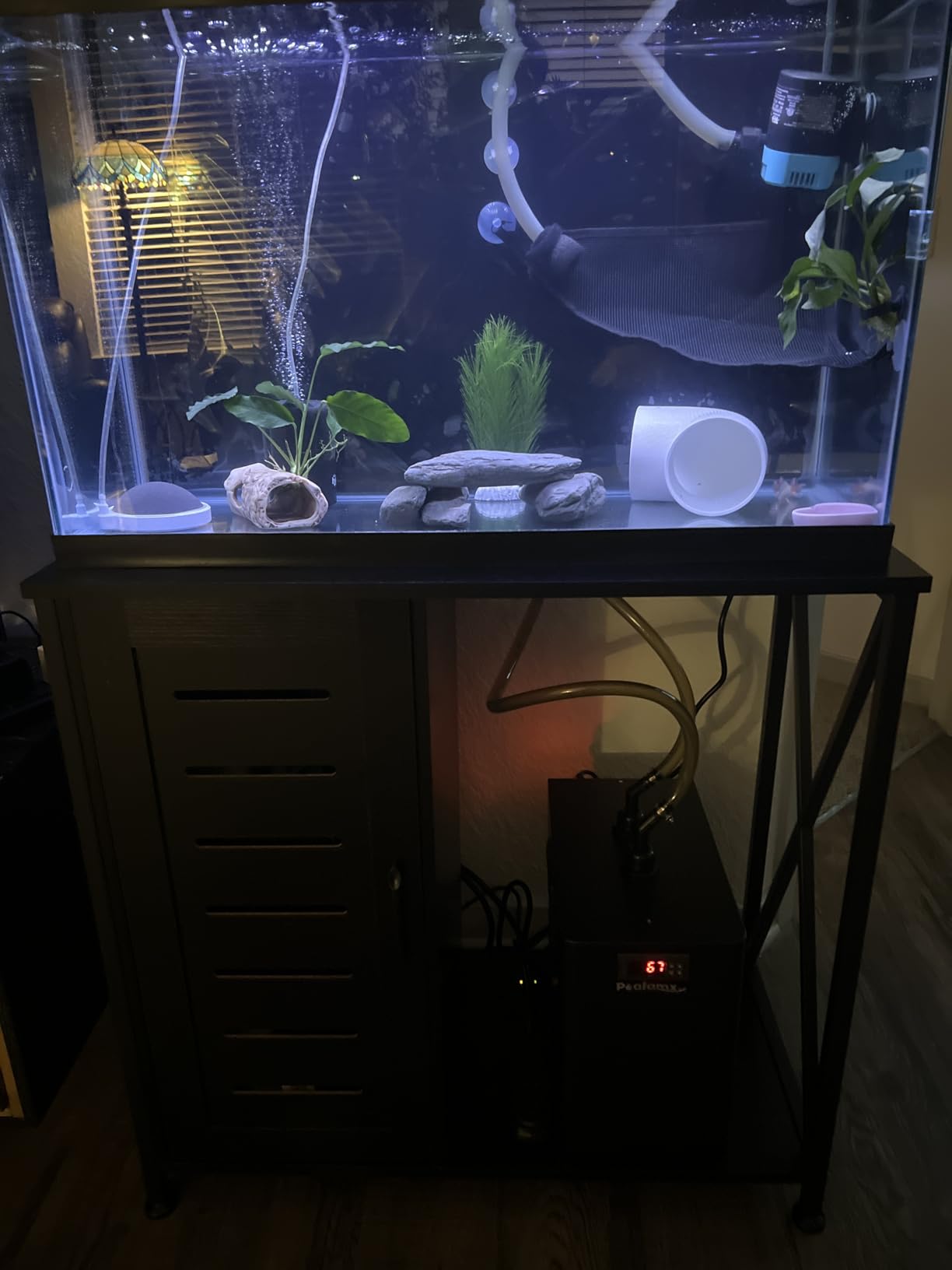 Poafamx 42gal Aquarium Chiller, 1/10 HP Water Chiller with Quiet Compressor for Hydroponics System, Coral Reef Tank, Axolotl & Jellyfish, 160L customer photo 2